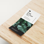 DL Flyers (99mm x 210mm)
