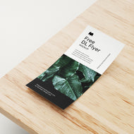 DL Flyers (99mm x 210mm)